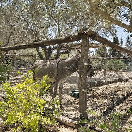 Cambiardeaires Rural Piedra Villa Pilar de la Horadada Esterno foto